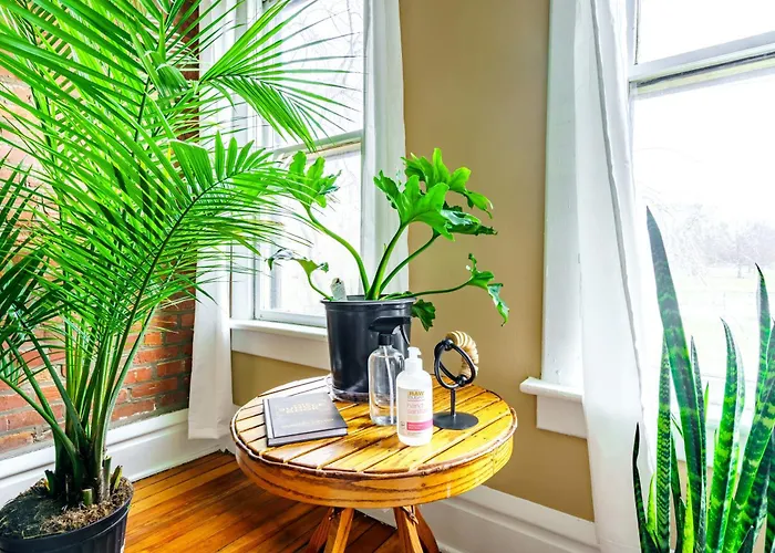 The Parkside By Jungle House - Short North Boutique Columbus